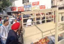 बड़ा हादसा! जालंधर नगर निगम की बहुमंजिला ईमारत से गिरा व्यक्ति, मचा हड़कंप