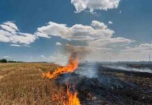 केंद्र सरकार ने की मान सरकार की सराहना, पंजाब सरकार की सफ़लता, किसानों के सहयोग से पराली जलाने में 85% की हुई ऐतिहासिक गिरावट