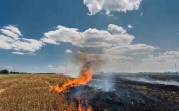 केंद्र सरकार ने की मान सरकार की सराहना, पंजाब सरकार की सफ़लता, किसानों के सहयोग से पराली जलाने में 85% की हुई ऐतिहासिक गिरावट