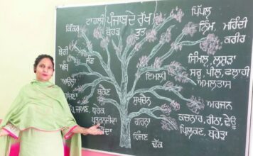 मान सरकार की दूरदर्शी नीतियों का परिणाम: सरकारी स्कूल की शिक्षिका ने सोशल मीडिया पर जगाई पंजाबी भाषा की अलख, कईं हज़ार फॉलोअर्स तक पहुंची मातृभाषा की आवाज़