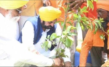 मान सरकार का ग्रीनिंग पंजाब मिशन :12,55,700 रिकॉर्ड वृक्षारोपण से पंजाब बना ग्रीन ज़ोन, राज्य की सबसे बड़ी पर्यावरणीय उपलब्धि