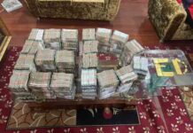 डंकी रूट केस में ED का बड़ा एक्शन! ट्रैवल कारोबारियों से मिले करोड़ों कैश और इतने करोड़ का गोल्ड, सिल्वर ed