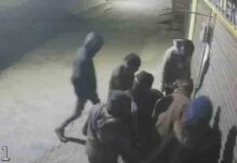 जालंधर में बड़ी वारदात! 10 चोर, 10 मिनट… ज्यूलरी शॉप से लाखों साफ