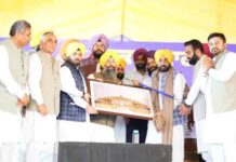 हम सरकारी स्कूलों के शिक्षकों को ट्रेनिंग के लिए विदेश भेज रहे हैं ताकि हमारे बच्चों को पढ़ाई के लिए विदेश न जाना पड़े: सीएम भगवंत मान