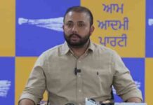 आप यूथ विंग ‘शानदार 4 साल, भगवंत मान दे नाल’ मुहिम को हर गांव और वार्ड तक ले जाएगी: परमिंदर गोल्डी