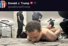 डोनाल्ड ट्रंप के प्रोग्राम में फायरिंग, मेज के नीचे छिपकर बाहर निकले ट्रंप, Video