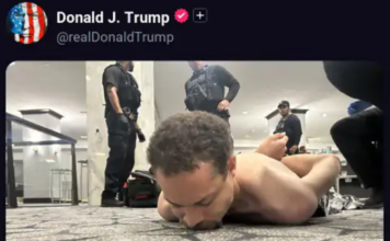 डोनाल्ड ट्रंप के प्रोग्राम में फायरिंग, मेज के नीचे छिपकर बाहर निकले ट्रंप, Video