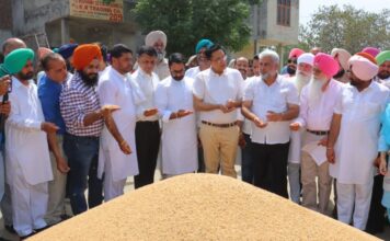 खाद्य एवं नागरिक आपूर्ति मंत्री लाल चंद कटारूचक्क ने भगतांवाला अनाज मंडी में चल रही गेहूं खरीद का लिया जायजा