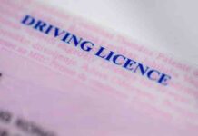 अमेरिका में पंजाबी ड्राइवरों पर सख्त एक्शन, रातों-रात गई सैंकड़ों की नौकरी