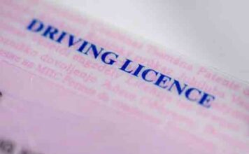 अमेरिका में पंजाबी ड्राइवरों पर सख्त एक्शन, रातों-रात गई सैंकड़ों की नौकरी