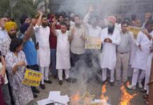 पंजाब भर में जनता का गुस्सा फूटा, दलबदलू सांसदों को दीवारों और सड़कों पर ‘पंजाब के गद्दार’ के नारों का करना पड़ा सामना
