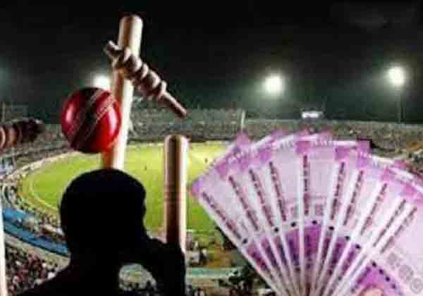 cricket bookie