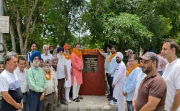 जालंधर सेंट्रल के विकास के लिए ‘आप’ का बड़ा कदम, नितिन कोहली ने ग्रीन पार्क में सड़क के काम का उद्घाटन किया