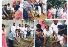 डिप्स नूरमहल में भव्य वृक्षारोपण अभियान का आयोजन, पर्यावरण संरक्षण का दिया सशक्त संदेश