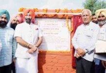 सनौर हलके के 79 गांवों की 96,598 एकड़ भूमि को सिंचाई के लिए मिला नहरी पानी: बरिंदर गोयल