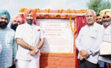 सनौर हलके के 79 गांवों की 96,598 एकड़ भूमि को सिंचाई के लिए मिला नहरी पानी: बरिंदर गोयल