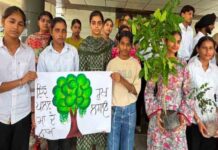 डिप्स आईएमटी कॉलेज में हरियाली का संदेश, विद्यार्थियों ने रोपे पौधे