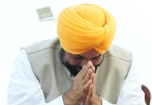 अब पंजाब के 80 फीसदी खेतों तक पहुंच रहा है नहरी पानी: CM भगवंत मान