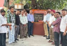 जालंधर सेंट्रल में विकास कार्यों को मिली गति: नितिन कोहली ने वार्ड नंबर 5 में 49.60 लाख रुपये के सड़क विकास कार्यों का किया उद्घाटन